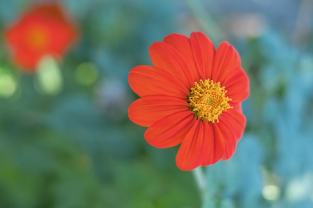 放心接受更 放心接受更