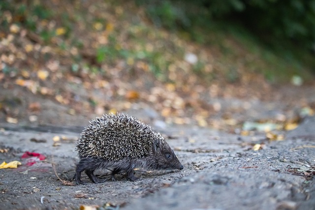 數百萬的捐 數百萬的捐