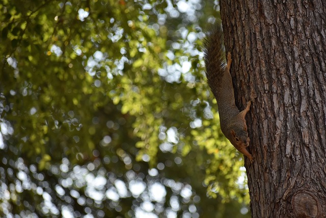 处理好生活 处理好生活