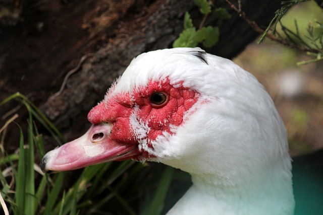 的激烈拼搏 的激烈拼搏