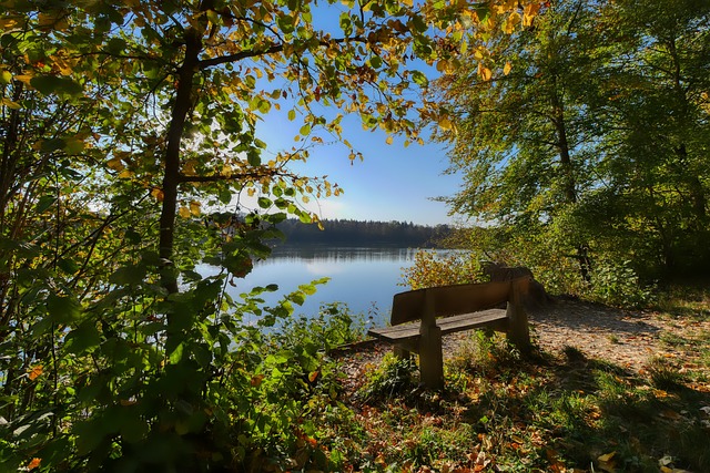 停火协议 停火协议